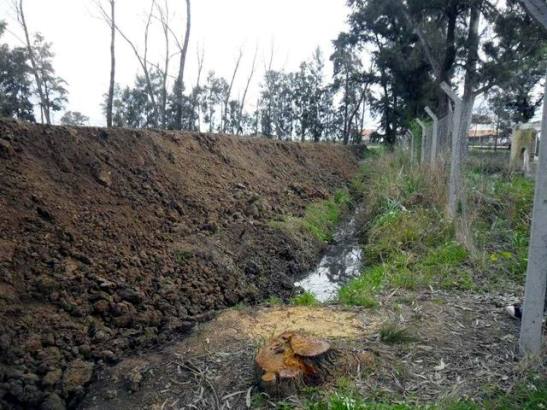 01_301119_366525843422419_2146222141_nx