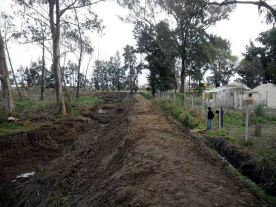 02_205904_366525896755747_817757046_nz