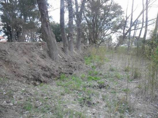 06_293160_366526083422395_959694353_n