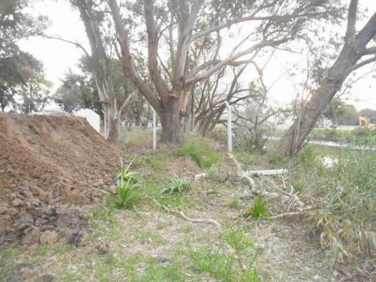 08_538373_366526156755721_185027324_n