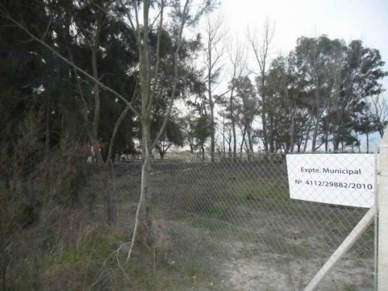 12_378314_366526310089039_1640424752_n