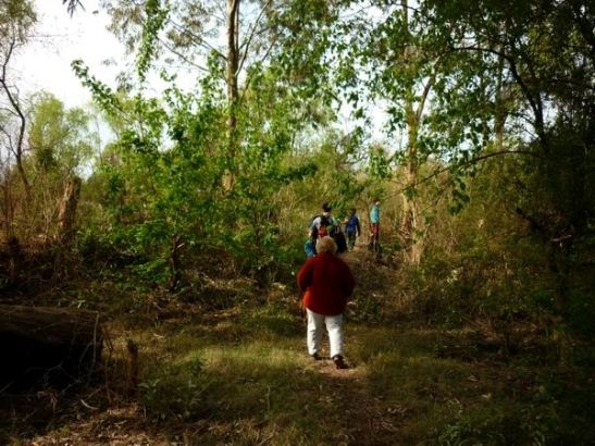 01_423688_529936563688452_1253194763_nx