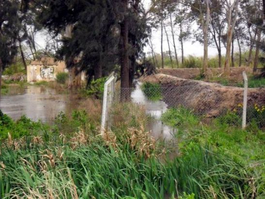 01_527823_365975056811621_2088314054_nx