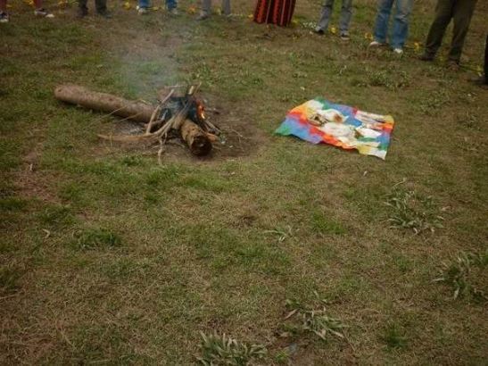 534273_529938687021573_1622996480_n__1_x