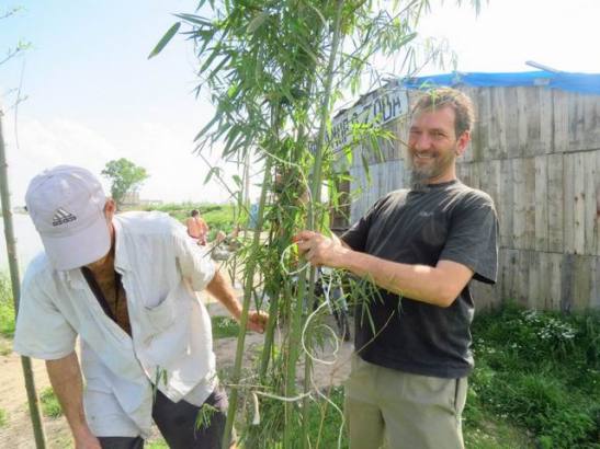 19_cobe_joch_arbol.jpgszxanp