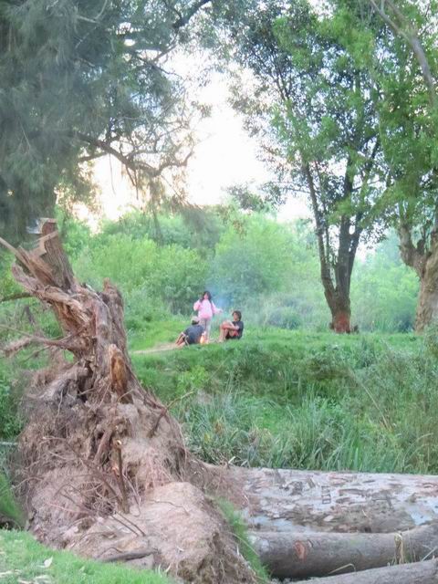 30_chicos_de_lejos.jpgmdw86a