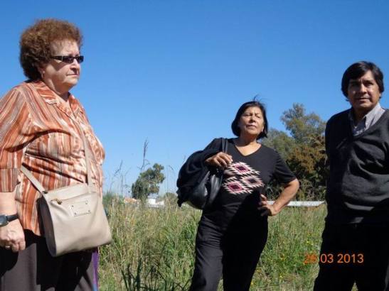 11 388498_454472021294467_1335339672_n