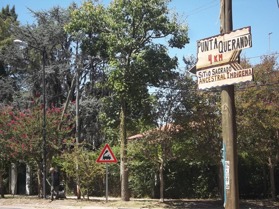 12744508_233249890343538_3823348729498349461_n