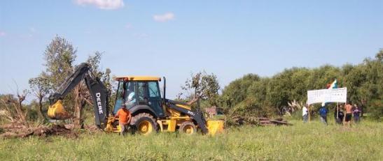 Foto: El Tigre Verde