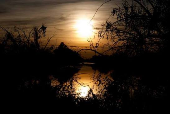 10370991_667571159984551_4315690046793628372_n