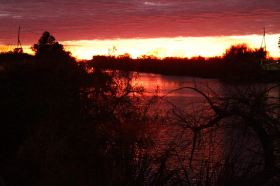 12 10441420_739074742797353_8025154856743071200_n