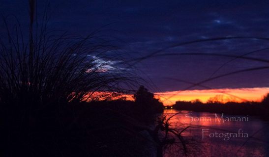 12 10511190_10204081972473257_3409064673490277001_n