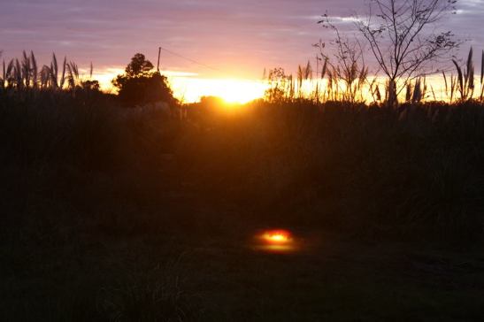 15 10471355_739074929464001_4782552488507122703_n