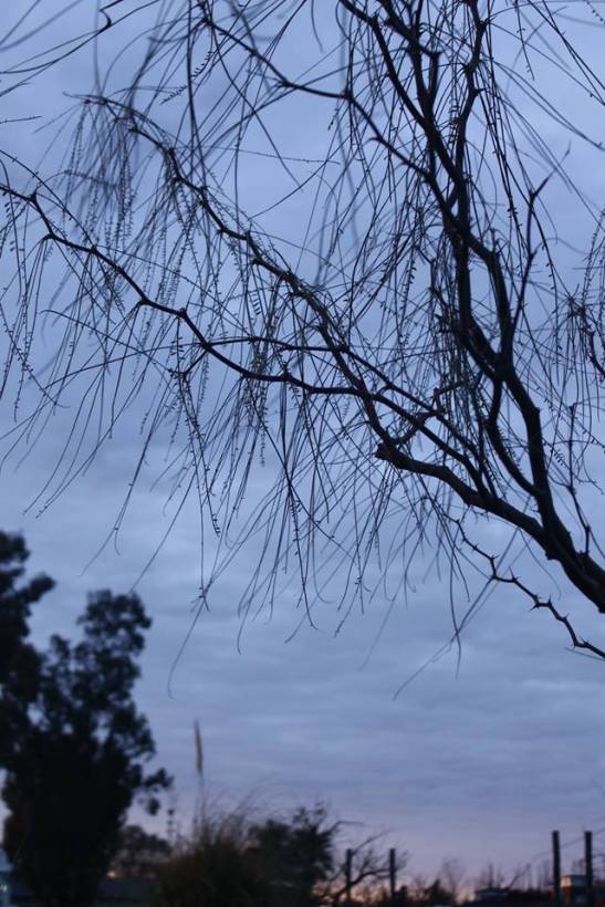 16 10314531_739074969463997_5396707216241621706_n