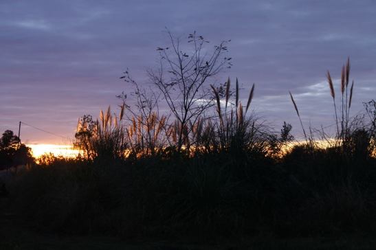 17 10384605_739074989463995_935091223600940895_n