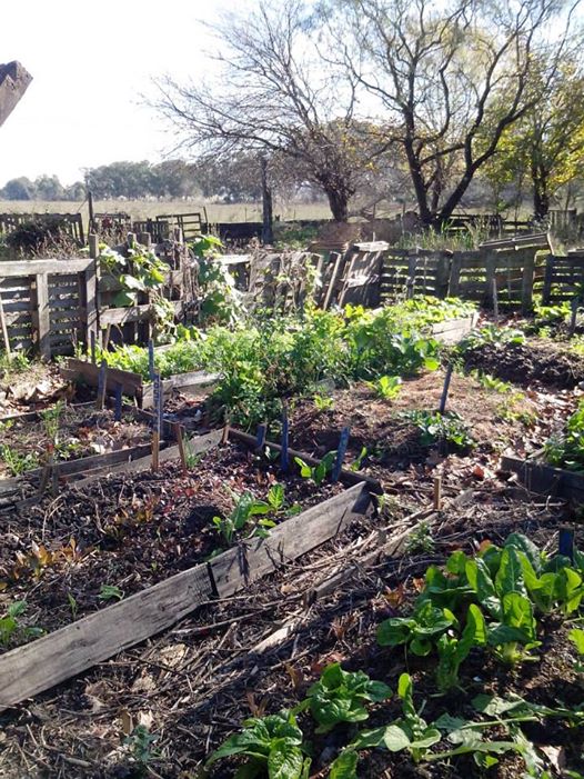 10486957_706302712762348_218265660774537013_n