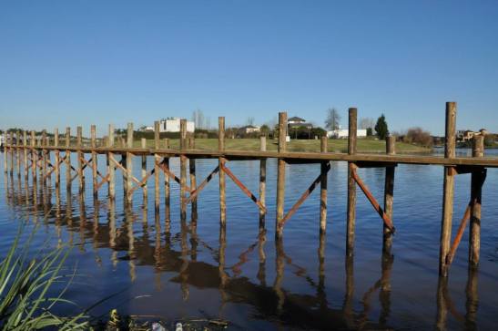 02 1470273_516065071872274_4821724655765056911_n