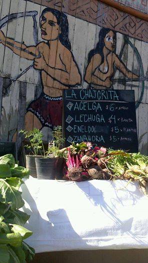 10620791_815238188528802_5176981763275266934_n