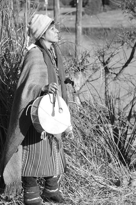 Sehacevidaconelso - 10408733_528347680630059_1144155986178586546_n