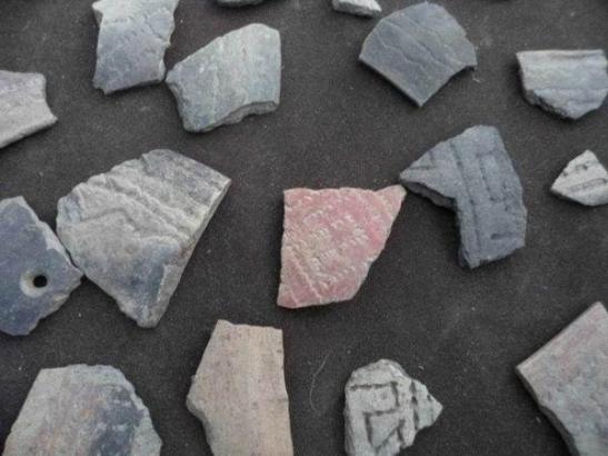 484941_446471655427837_1504811674_n