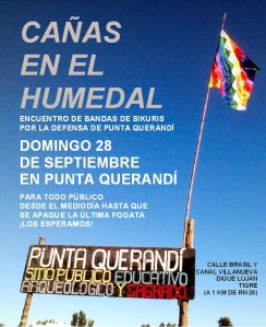 Cañas en el humedal actualizado