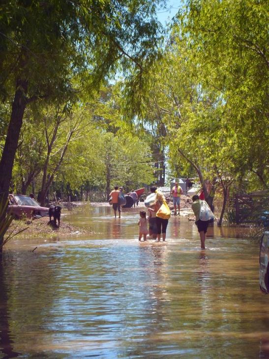 01 13238_747896341952032_8433684749737722943_n