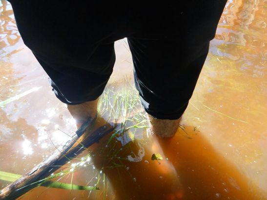 04 10253830_747896451952021_6413810073907881192_n