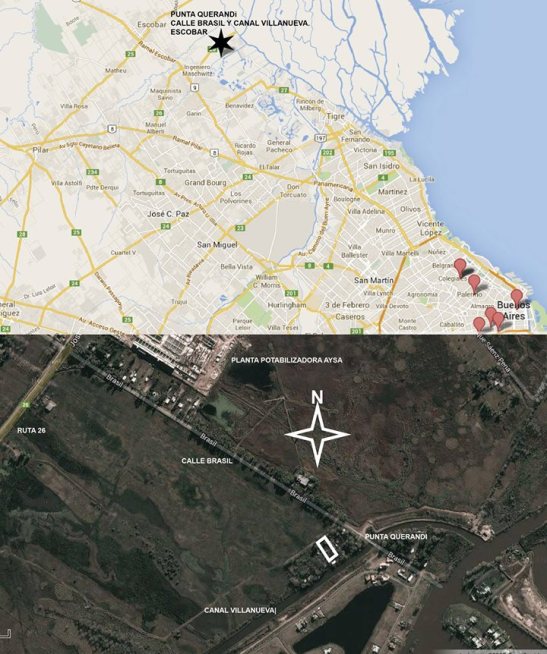 10697182_784119154980703_3524635506955577548_o