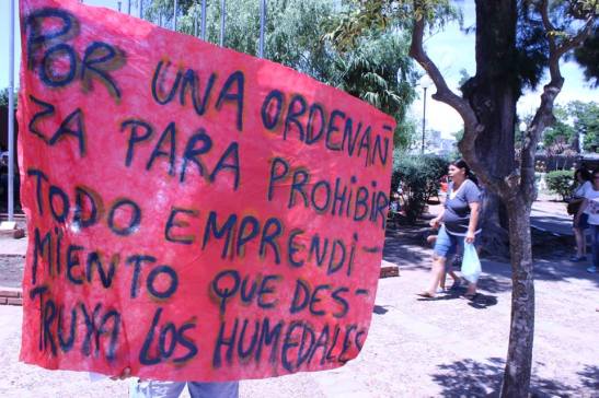 02 1532088_1388550484772122_8363358261065272878_n