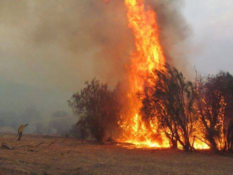 10980702_1575350486014956_6081717029057709977_n