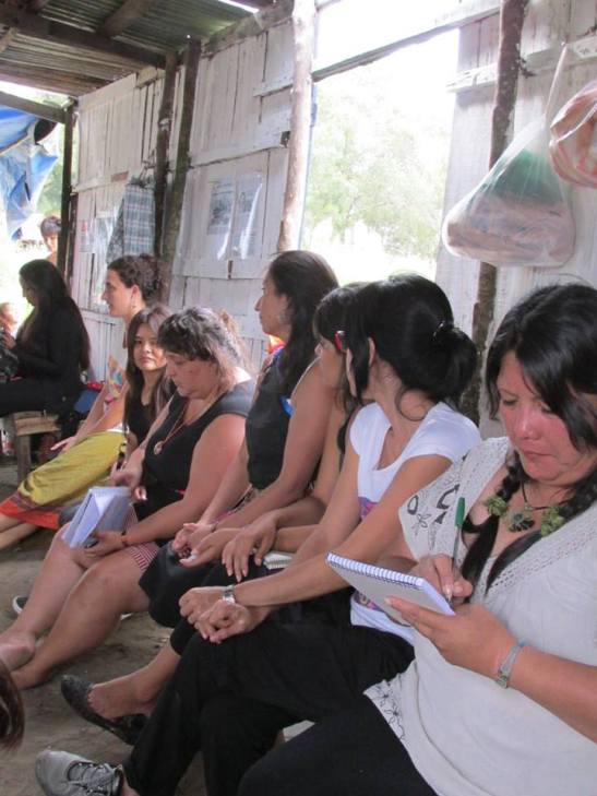 12 10015640_10204590332291591_2238935669465623062_n