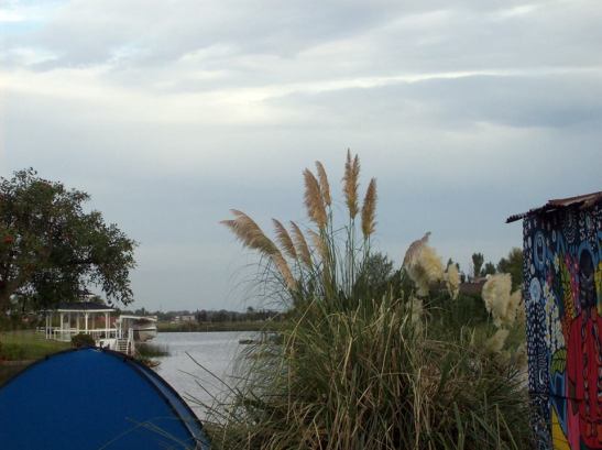 Pillan Manke - 10636307_378957932287186_7932965168347364677_n