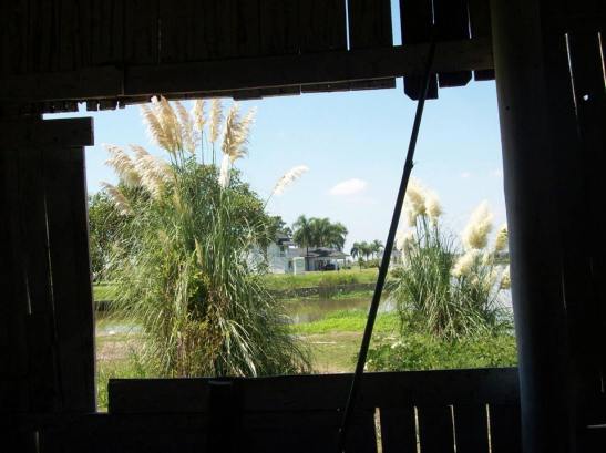 Pillan Manke - 10995786_378969708952675_5350737579615934908_n