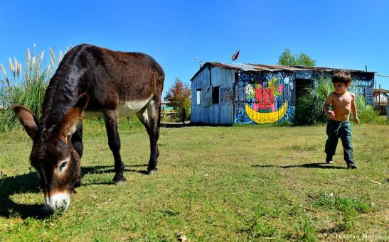 27 11082646_831066893634976_9126152075965432715_n