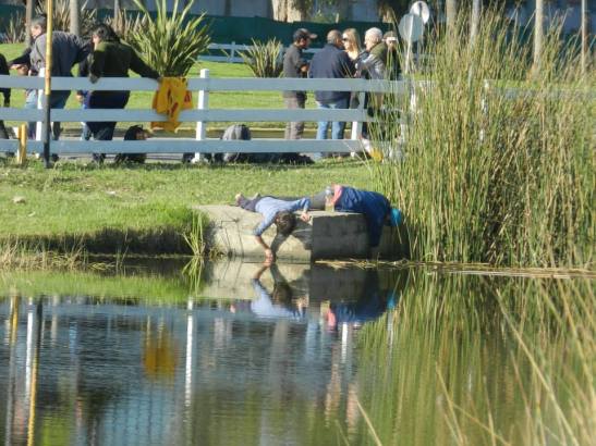 24 11143379_10152958947594072_1052537420328068602_n