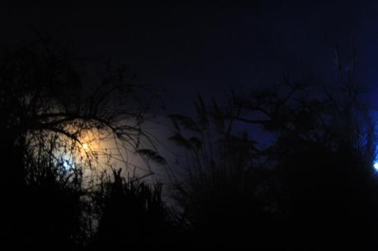 35 11027479_777640142335283_3192084366242729261_n