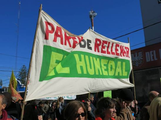 41 11742638_403909743130980_1827816392900942882_n