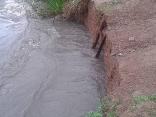 11755337_671551919645975_1805659088225463453_n