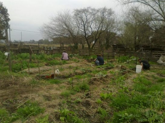 11811305_1017687661617186_9132118213709318832_n