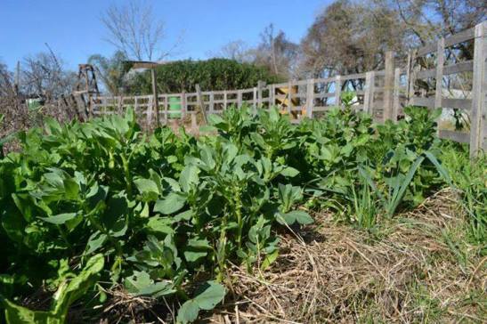 11899990_1013302025389083_4165824868800815574_n