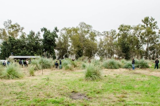 Prueba marca de agua_-152