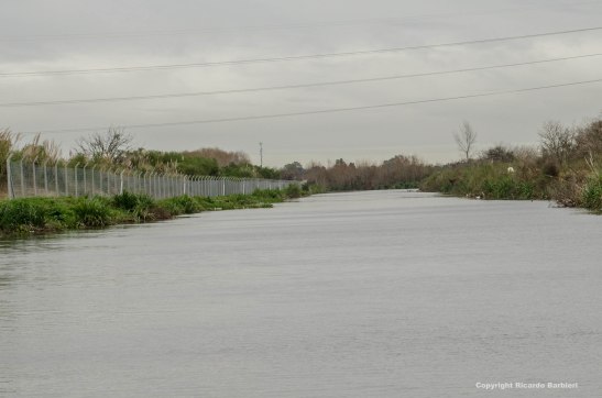 En el 2015, los vecinos del country alambraron hasta el Arroyo Garín. Foto: Ricardo Barbieri, El Tigre Verde