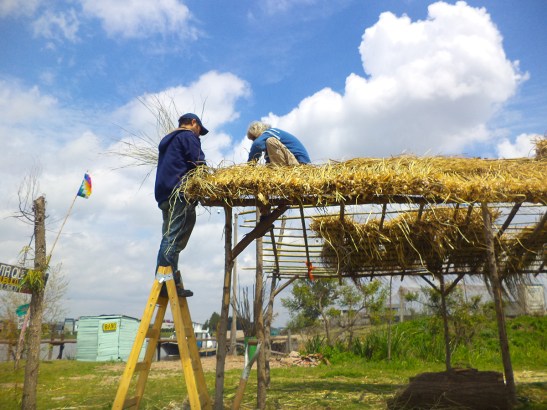 Construcción del techo del quincho con paja brava de Punta Querandí.