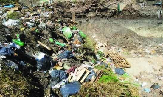 06 Junio - 557a1ea676492