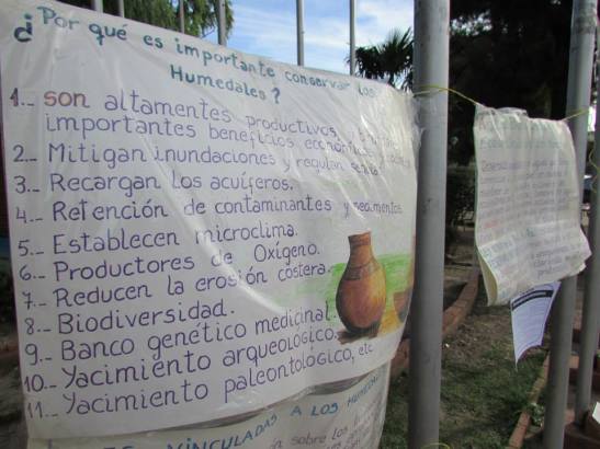 09 10959829_421261848027453_7370685668469497152_n