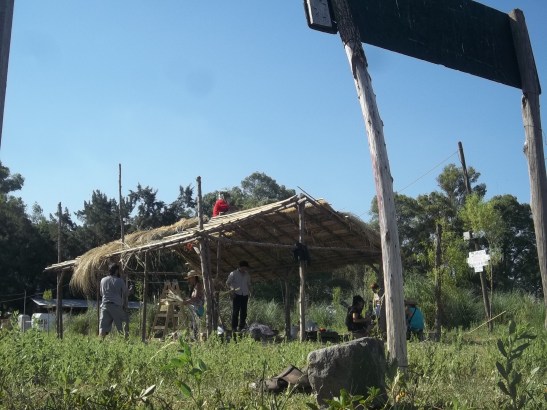 12 Diciembre - 12-100_9142