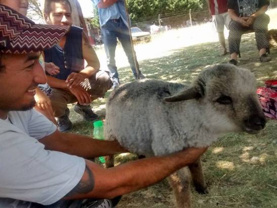 12573706_483682075149870_2459277115463618609_n