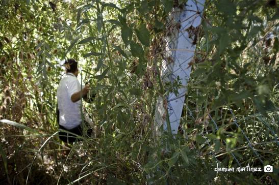 12 12745408_892480347535889_2394369427407795675_n