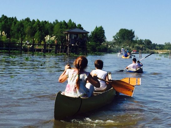 Federico Ugo - CbQfv0RXEAA6XtC.jpg large