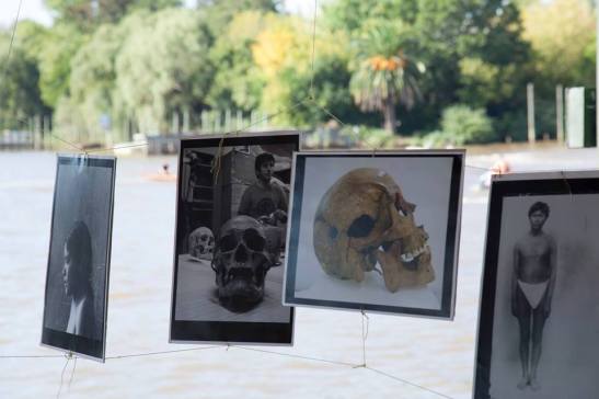 03 12919749_10206142170578893_6709793923718909916_n